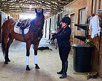 six-filly