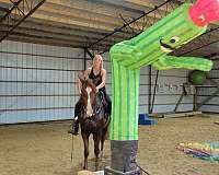 sorrel-face-stripe-2-rear-socks-horse