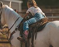 ranch-pony-quarter-pony
