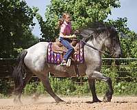 big-eq-draft-horse