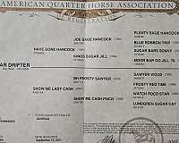 quarter-horse-for-sale