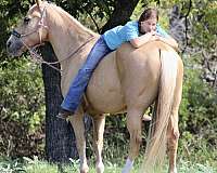 rodeo-queen-quarter-horse