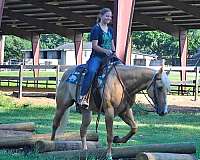 trail-horse-quarter