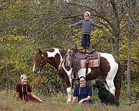 kid-safe-gypsy-vanner-horse