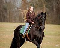 kid-safe-friesian-horse