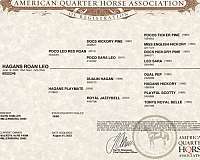 husband-safe-quarter-horse