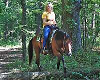 trail-riding-quarter-horse