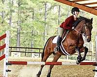 kids-horse-friesian