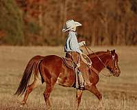 ridden-western-quarter-pony