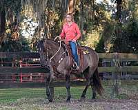 pretty-american-cream-horse