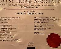 ranch-gypsy-vanner-horse