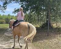 daughter-palomino-horse