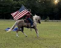 merry-go-round-horse