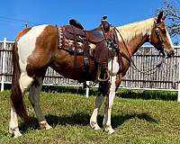 red-roan-none-horse