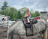 home-lusitano-horse