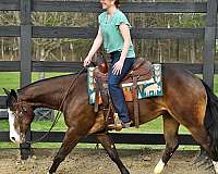 reining-quarter-horse