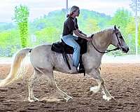 lesson-draft-horse