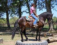 saddles-quarter-pony