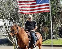 side-saddle-mare