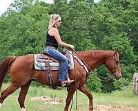 barrel-racing-quarter-horse