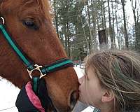 left-fore-partial-pastern-hind-sock-horse