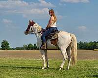 beginner-cross-kentucky-mountain-horse