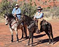 buckskin-ridden-western-horse