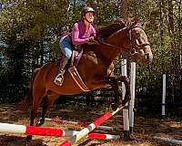 children-thoroughbred-horse