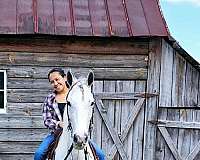 trail-riding-spotted-saddle-horse