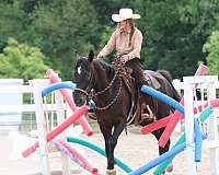 equitation-mustang-horse