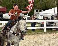 ranch-quarter-horse