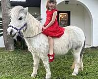 show-pony