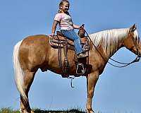 ranch-versatility-quarter-horse