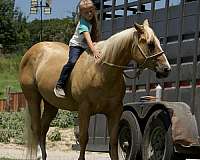 trail-riding-quarter-horse