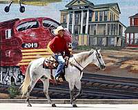 ranch-work-quarter-horse