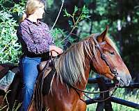 family-draft-horse