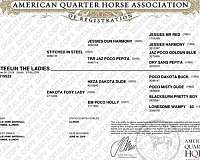 barrel-racing-quarter-horse