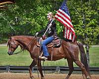 trail-pony-quarter