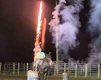 ranch-work-quarter-horse