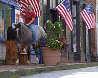 ranch-work-quarter-horse