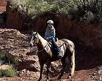 ranch-work-quarter-horse