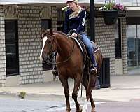 ranch-work-quarter-horse