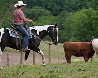 husband-safe-paint-horse