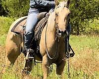 trail-riding-quarter-horse