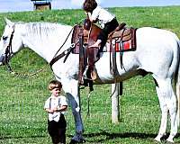 family-quarter-horse