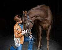 trail-tennessee-walking-horse