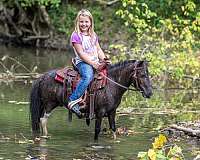 cowgirls-pony