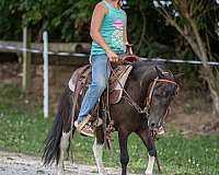 heart-of-gold-pony