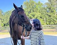 awesome-thoroughbred-horse