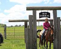 ranch-work-quarter-pony